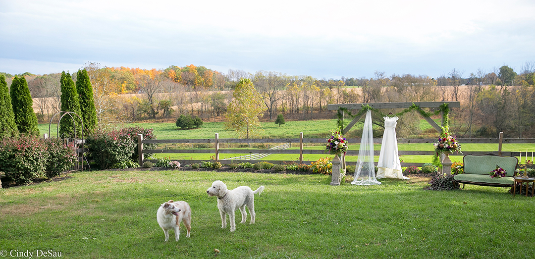 New Wedding Venue Durham Hill Farm in Pipersville